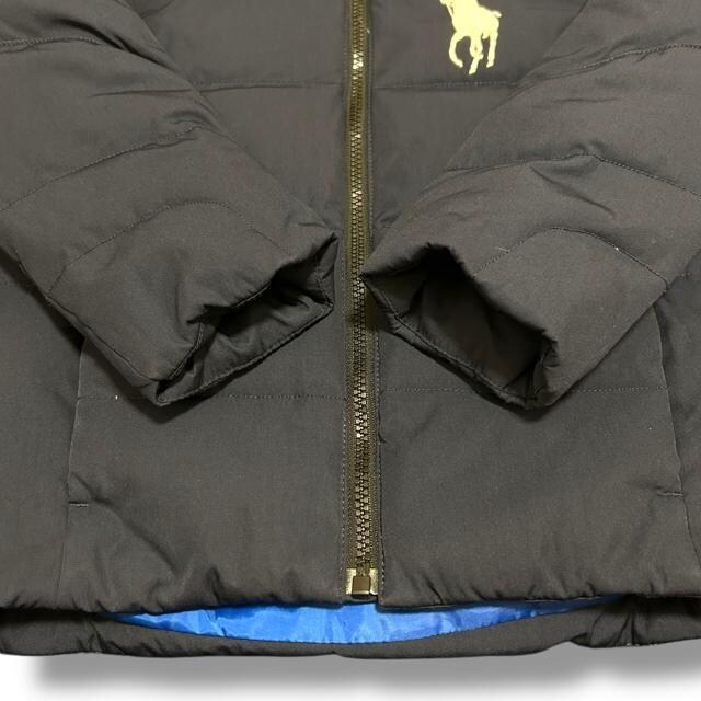 | t[ rbN|j[ _EWPbg TCY120 F WPbg RALPH  LAUREN  LbY/xr[ 