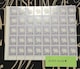 gp2~ʐ؎4080~oyC}