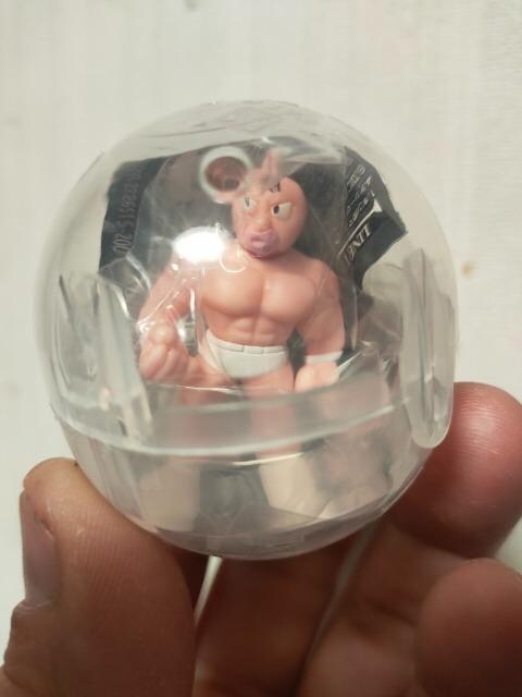 K`/LPV23/L}(ʐF) 