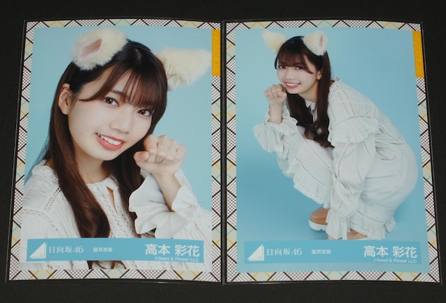 46@ ʐ^SRv@{ʉԁ@Lߑ  ^gObY 