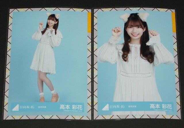 46@ ʐ^SRv@{ʉԁ@Lߑ  ^gObY 
