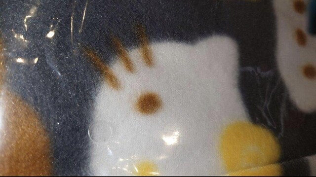 m̐R@TILN^[Y@t[XuPbg@O[lCr[n