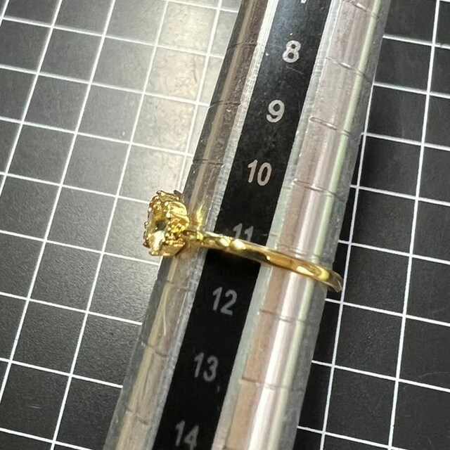 A308 w fB[X NX^ Jt O S[h t[TCY  ANZT[/v 