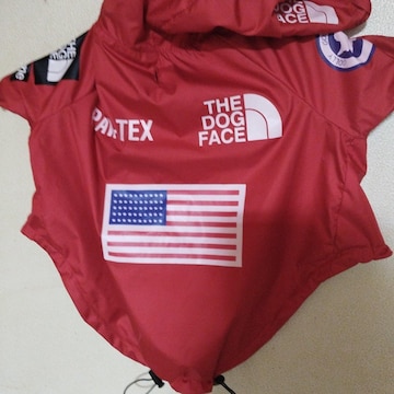 THE DOGFACE Wp[@XL 