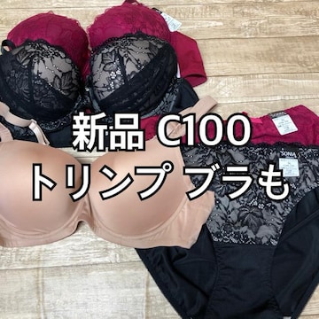 ViC100􃌁[Xꂢu&V[c{gvua323