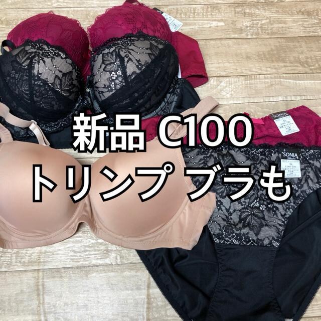ViC100􃌁[Xꂢu&V[c{gvua323 