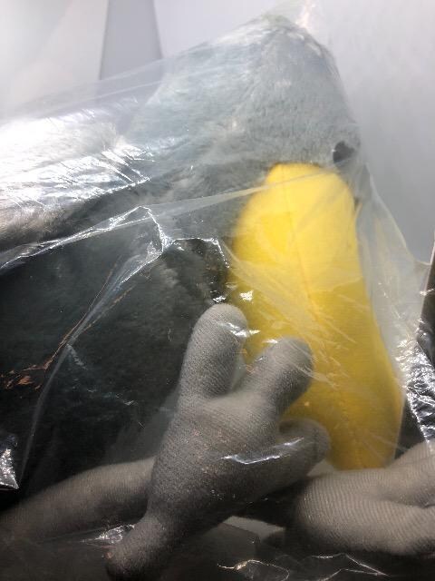 т[ƃnVrRE@ʂ݁@@   