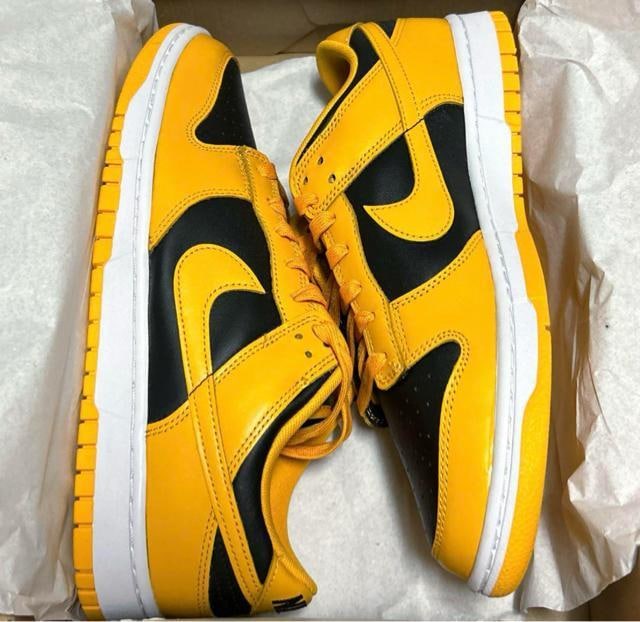 NIKE DUNK LOW RETRO Championship GOLDENROD 28cm IOWA iCL _N g  uh 