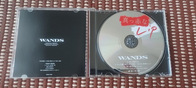 WANDSu^ԂLip TRiՁv  ^gObY 