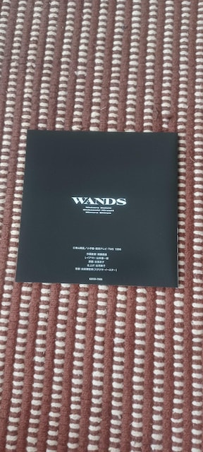 WANDSu^ԂLip TRiՁv  ^gObY 