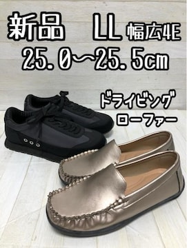 ViLL25cm25.5cm4EhCrO[t@[Xj[J[Q339