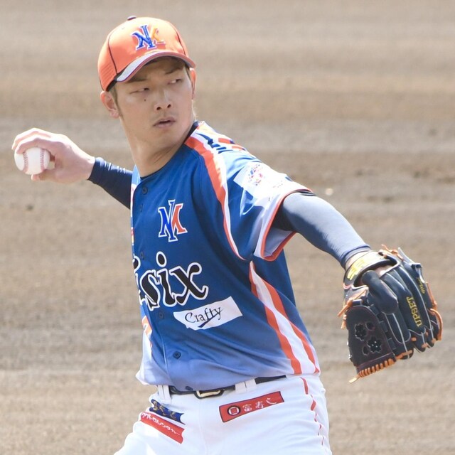 #23 c aI蒅p rW^[jtH[ 