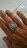 ☆CH正規品☆ Classic Oval Star Ring ダイヤ&ブラックダイヤPave 20号