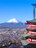世界遺産 富士山と桜と五重塔 写真 A4又は2L版 額付き 縦