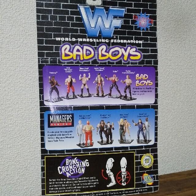 WWF (WWE) XeB[uI[X` tBMA J  zr[ 