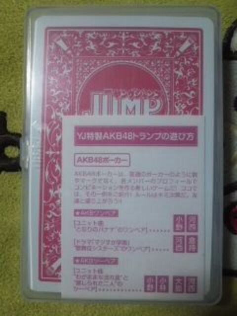 JAKB48~OWv2010N񔄕igv