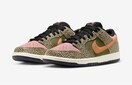 NIKE SB DUNK DUNK LOW PRO