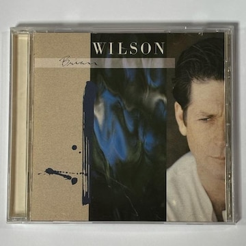 BRIAN WILSON / BRIAN WILSON