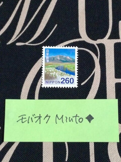 gp260~ʐ؎1oyC}   zr[ 