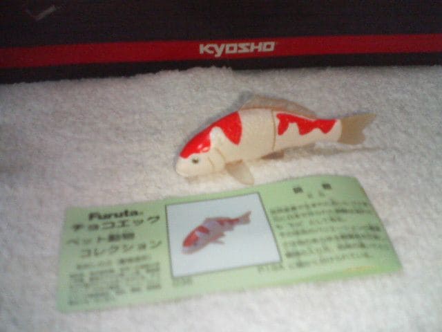 t^ ybg2  ь g   zr[ 