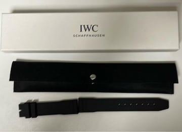 IWC xg EASX-CHANGE