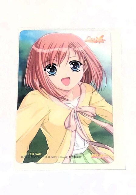 Canvas -ZsAF̃`[t- kV DVD2T JNeE\tg ́` eJ   `Pbg/ 