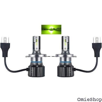 Catland LED tHOv wbhCg H  ̌^ 邢 CSP`bv px 2 439