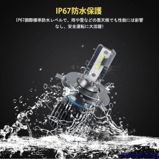 Catland LED tHOv wbhCg H  ̌^ 邢 CSP`bv px 2 439  /oCN