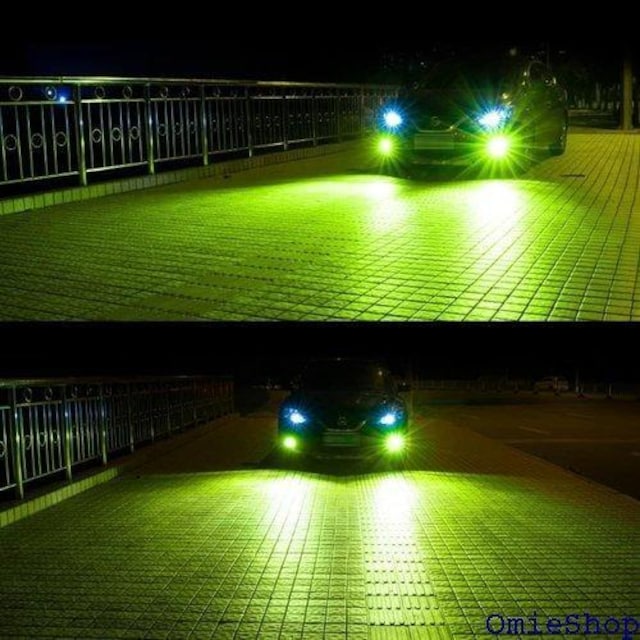 Catland LED tHOv wbhCg H  ̌^ 邢 CSP`bv px 2 439  /oCN