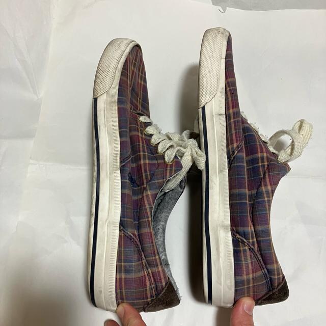 y1~X^[gzyPOLO RALPH LAURENz `FbN / Xj[J[ / 10D  uh 