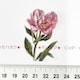 30*YȂԂ̺װޭف@6