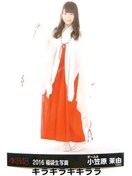y}䝗R*`[AzsNewt2016N/AKB48[ʐ^]