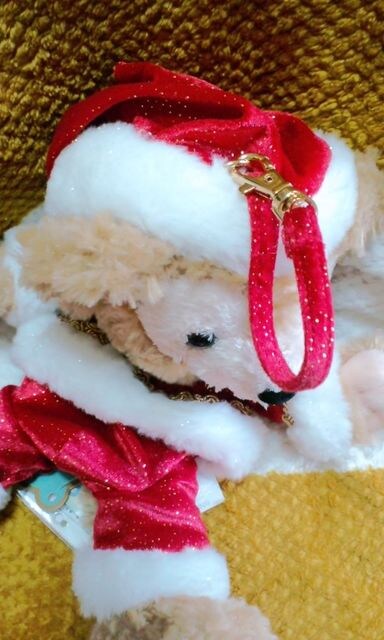 fBYj[TDS2009wLt_btB[ʂ݃|[`x   