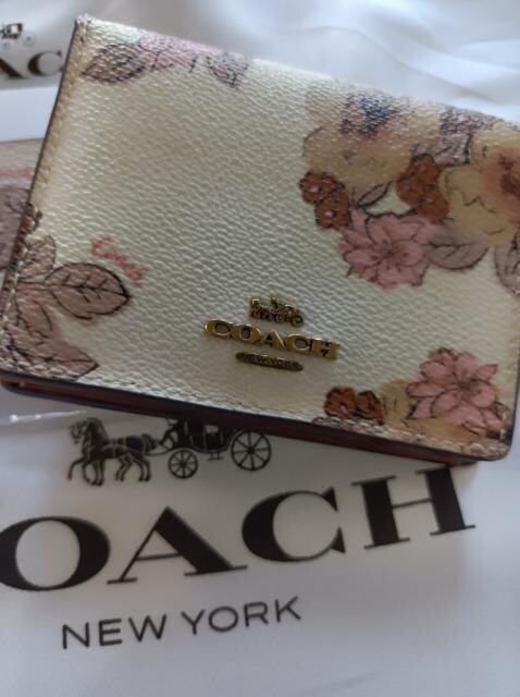 COACH2܂z_炩U[SnǂfGȉԕiR[`