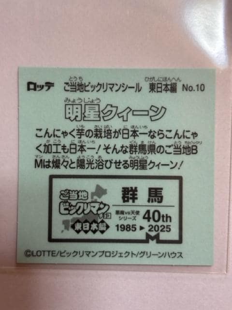 nrbN}{ҁNo.10 NB[Qn  zr[ 